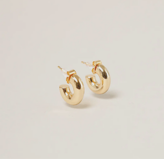 Gold Dipped Earrings