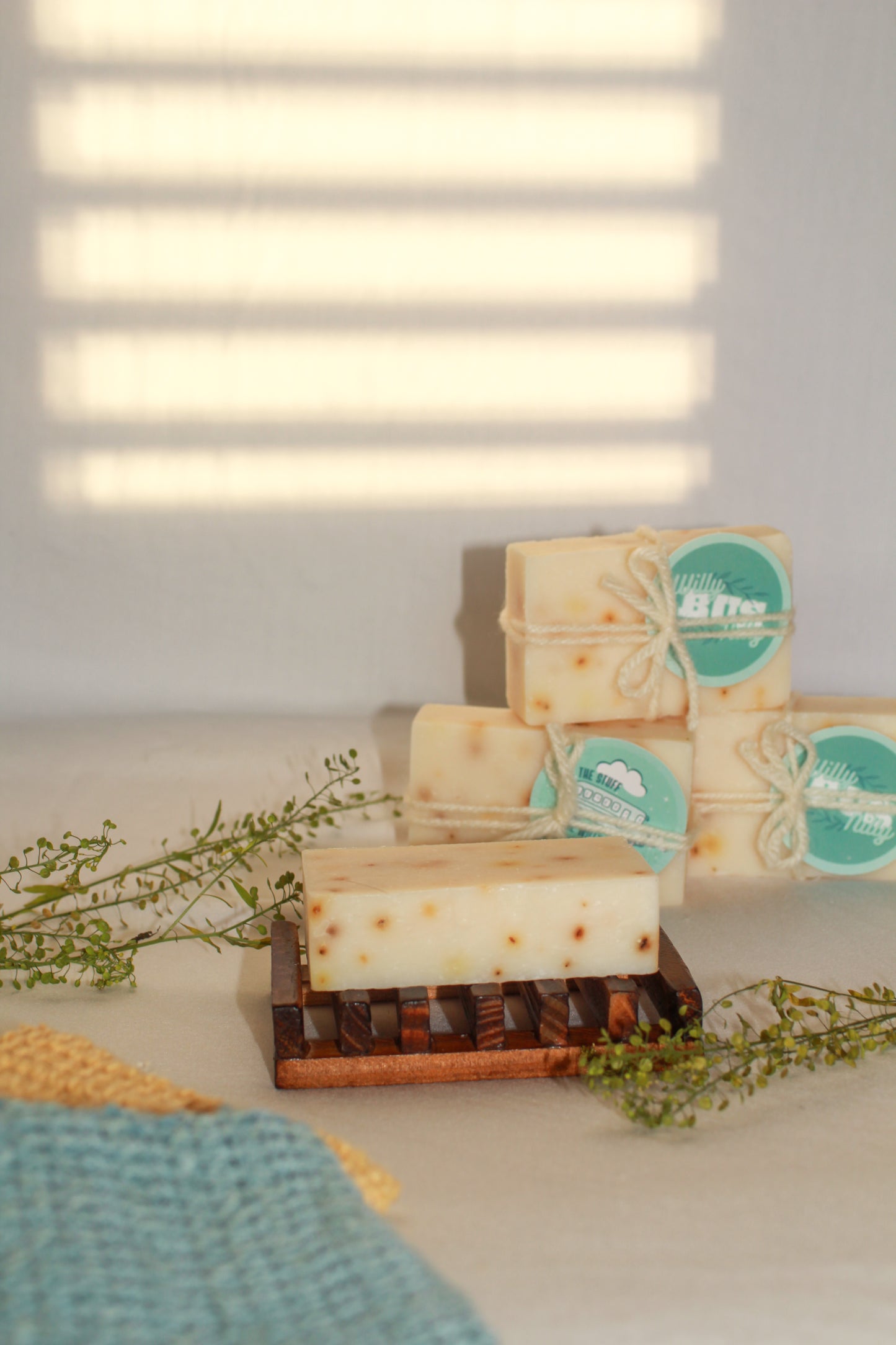 Bar Soap Eucalyptus Aloe